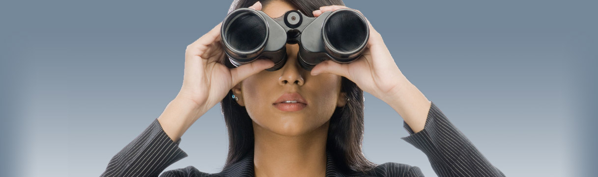 New Product Forecasting